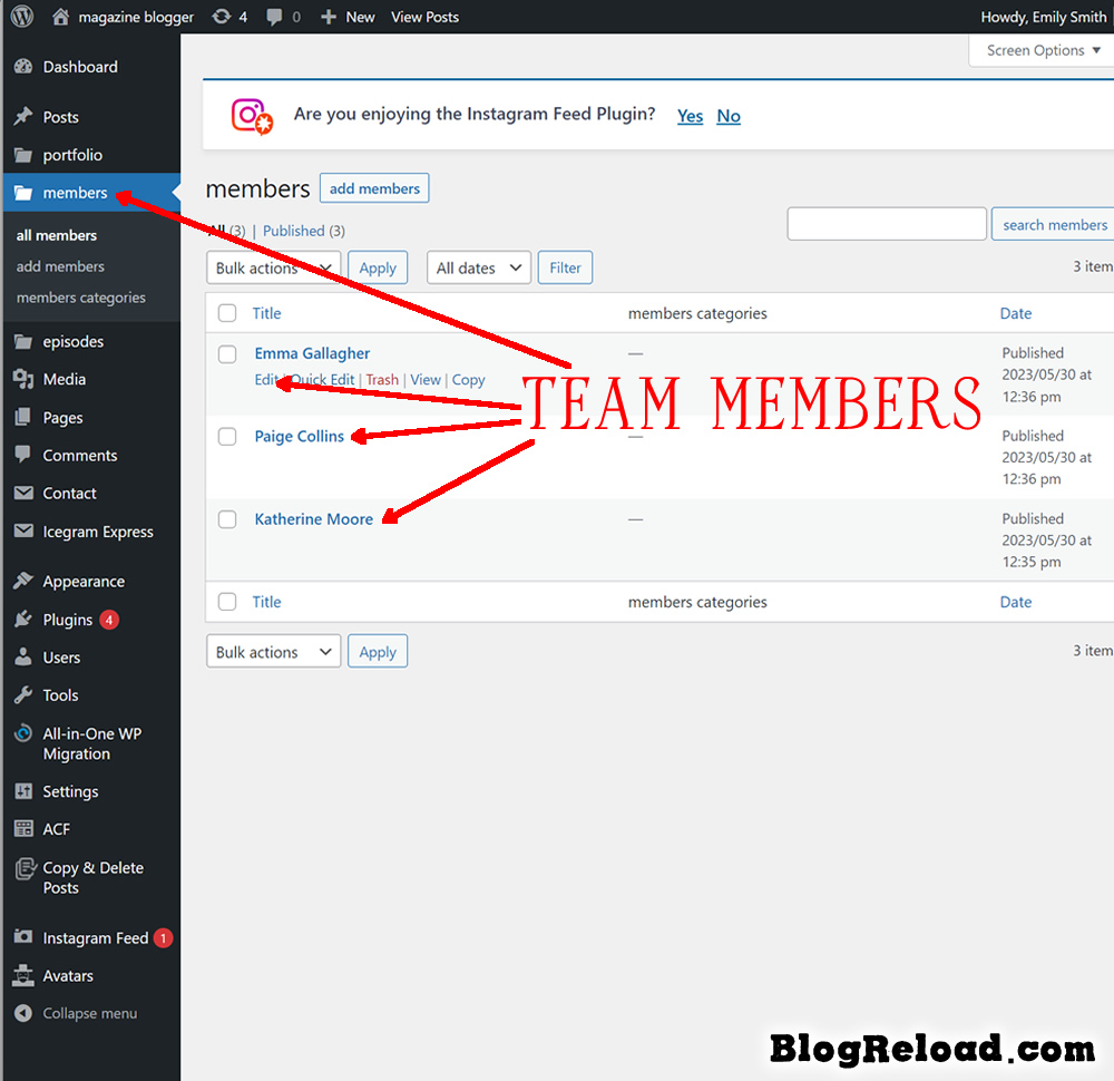 Team members configuration / BlogReload.com